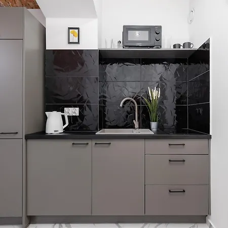 Cozy In The Old Town Of By Renters Cracovia